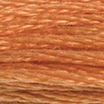 DMC Cotton Embroidery Floss -721