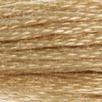 DMC Embroidery Floss -738